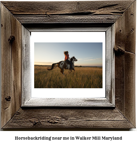 horseback riding near me in Walker Mill, Maryland